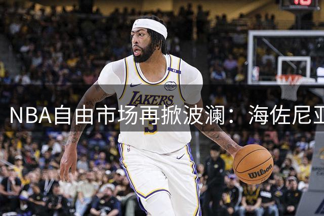 NBA自由市场再掀波澜：海佐尼亚280万加盟骑士进入关键阶段